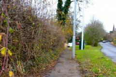 Path to cemetery cleared at last