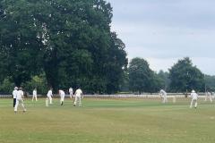 Cricket: Wilkinson shines in Alderley victory at Gloomy Toft
