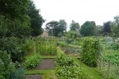 Allotment holders sign new lease to secure their future
