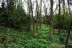 A secret garden