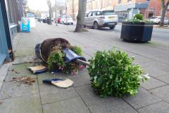 What a blooming shame!