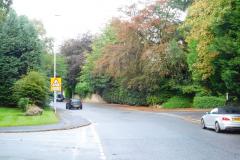 Survey finds there's no case for zebra crossing