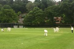 Cricket: Alderley bounce back to top spot