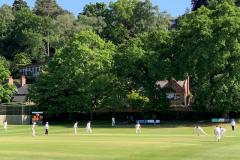 Cricket: Alderley's league and T20 success tempered by national knockout exit