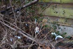 Bags of dog waste dumped in bushes
