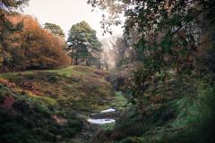 Reader's Photo: A Walk to the Edge