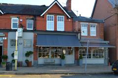 Botanist hopes to deck the pavement