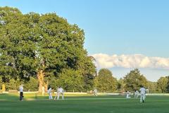Cricket: Perry hundred brings Alderley through tense contest at Toft