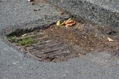 Reader's Letter: The deterioration of the paths and drains