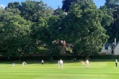 Cricket: Runs flow for Perry in League win and T20 defeat for Alderley