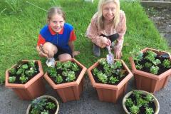 Guides help make village bloom