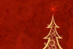 Cricket Club to host Christmas Market