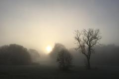 Reader's Photo: Autumn in The Carrs