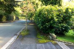 Reader's Letter: Shocking state of hedges and pavements
