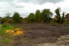 RSPCA respond to outrage over bulldozed land