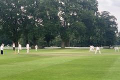 Cricket: Sensational Scott sinks Alderley at Toft