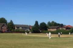 Cricket: Alderley's league form continues