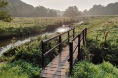 Reader's Photo: River Bollin