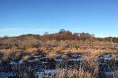New group launches dedicated to the protection of Lindow Moss