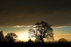 Reader's Photo: Stormy Sky