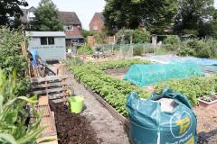 Bloom team to open the gate of their allotment for charity