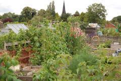 Green fingered compete in annual show