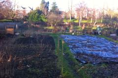 Allotments set to transfer to Parish Council