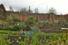 Allotment holders stand their ground