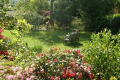 Could be last chance to see beautiful Alderley garden
