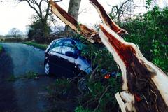 Severe winds cause mayhem