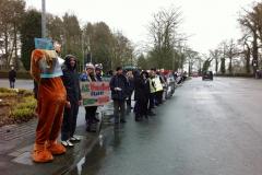 Campaign for release of AstraZeneca beagles