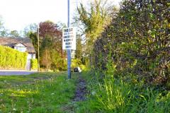 Path to cemetery will be cleared