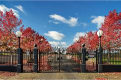 Consultation on 30 year grave plan