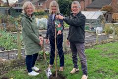 Allotment holders plant a tree for the Queen's Platinum Jubilee
