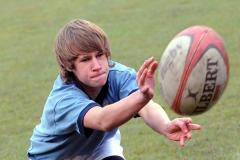 MGS scrum-half selected for Cheshire