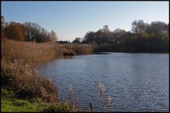 Reader's Photo: One of the most-changed areas
