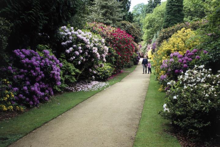 Hare Hill Garden in early summer