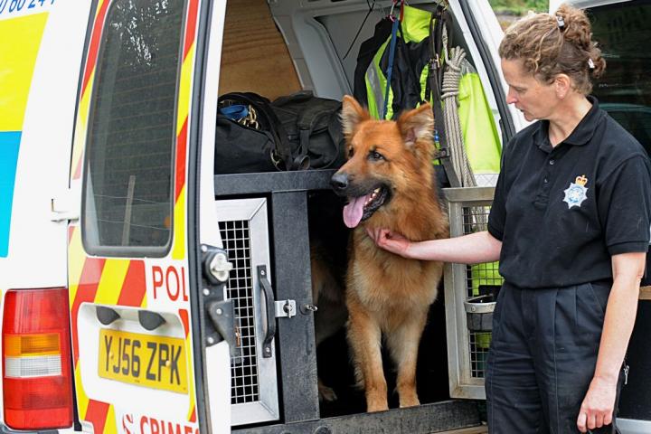 police_dogs_12