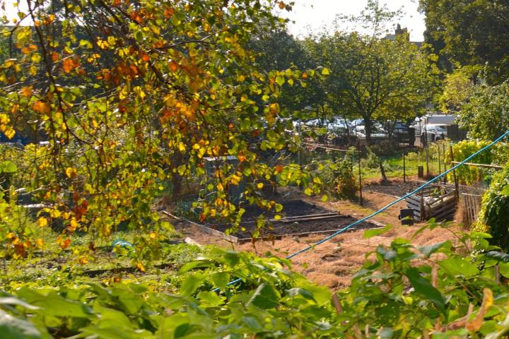 allotments