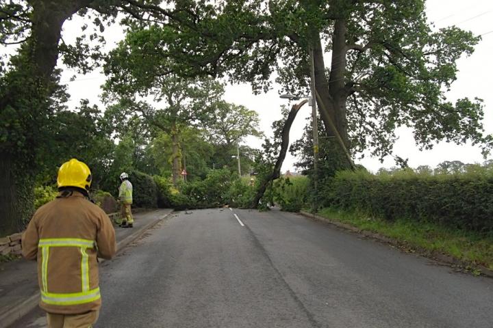 branch Alderley Edge june 2012