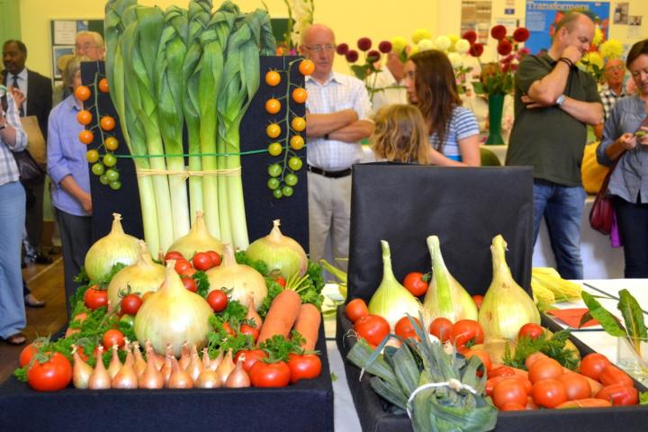 allotment show