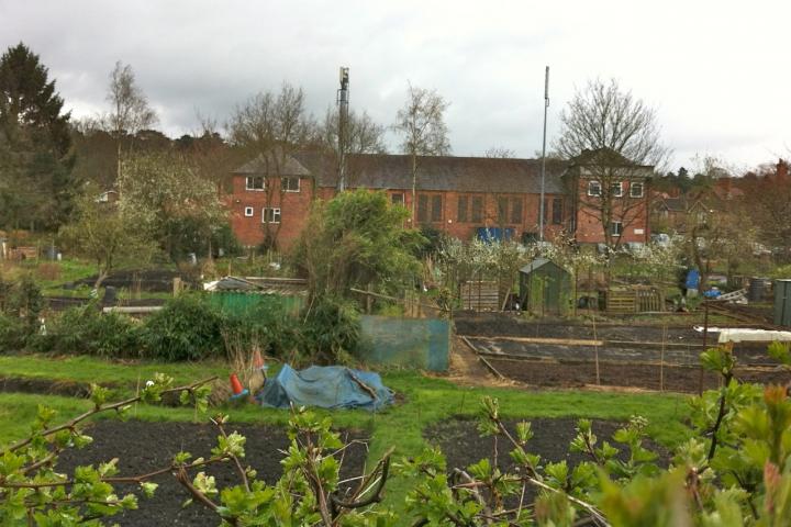 allotments