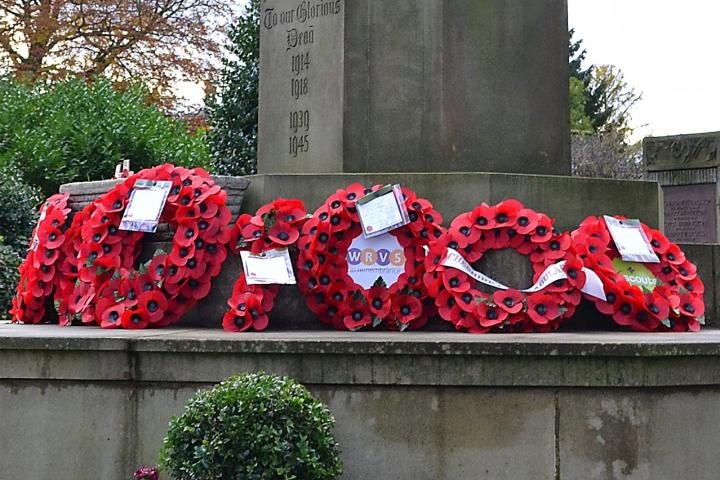 poppies